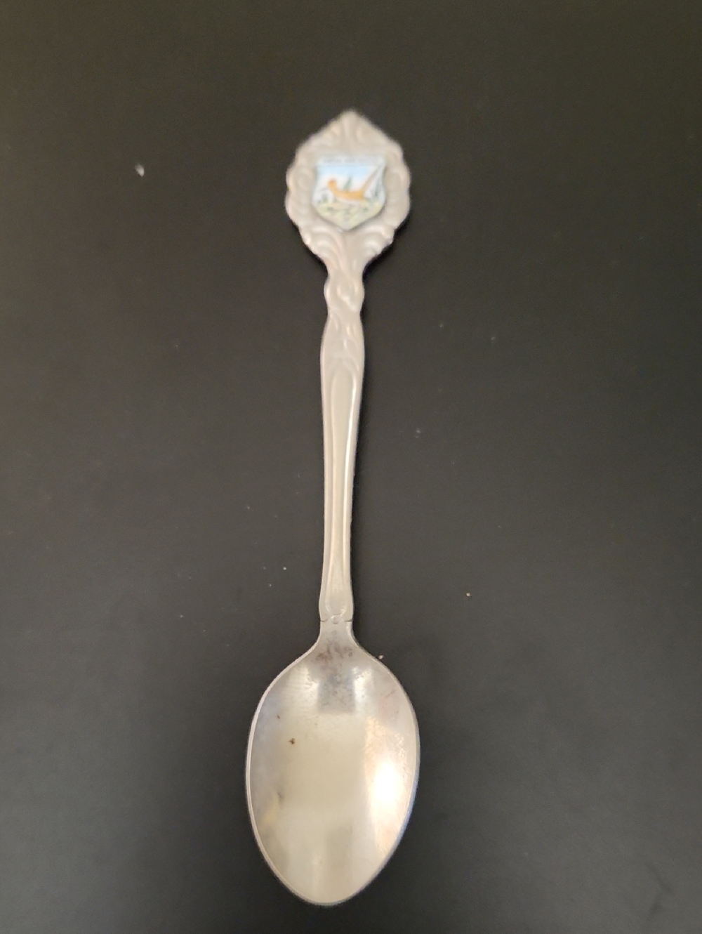 Vintage New Mexico Souvenir Decorative Spoon with Scenic Crest - Silver Tone